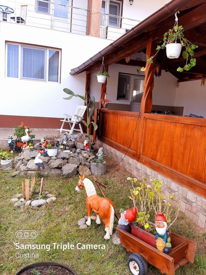 Casa Trache Hotel Călimăneşti Exterior foto