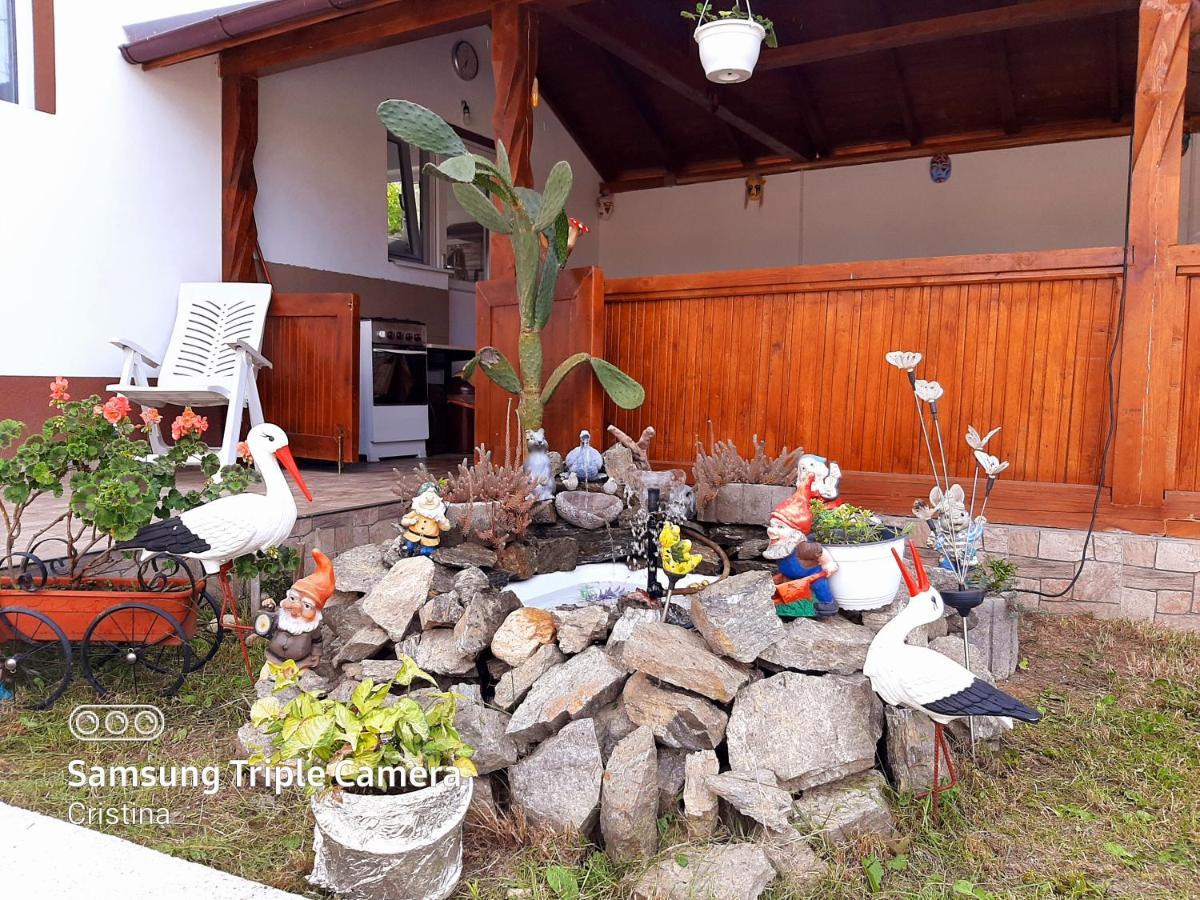 Casa Trache Hotel Călimăneşti Exterior foto